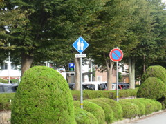 シルバーゾーン