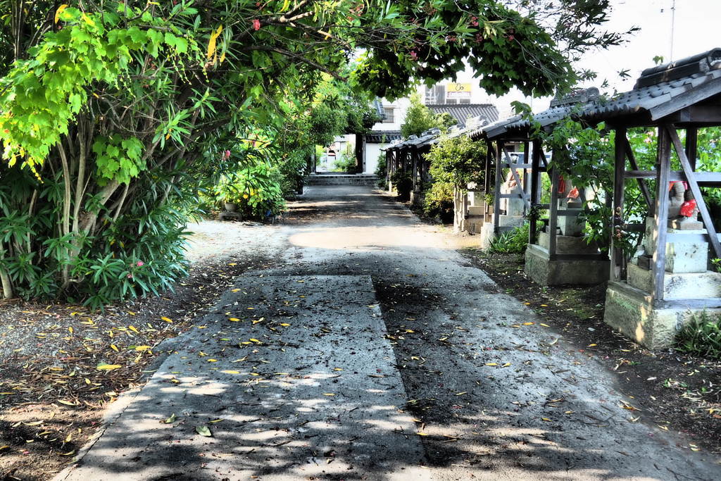 播磨国分寺にて