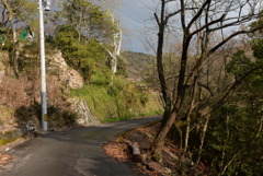 鹿久居島現寺湾にて 4