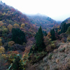 紅葉の山にかかる雲