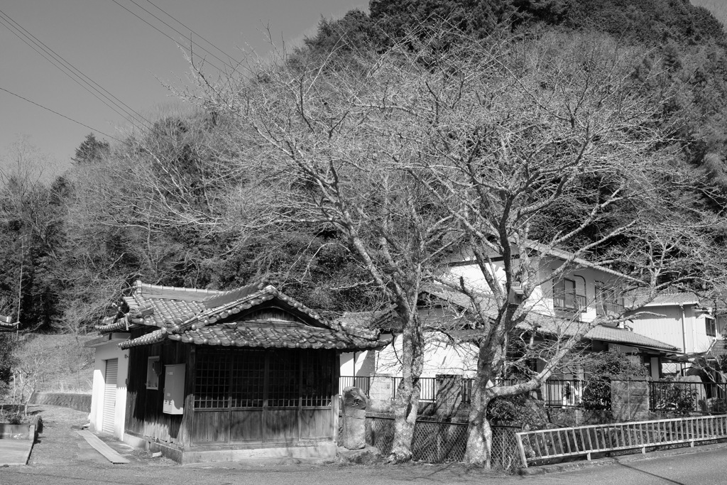 冬の終わり