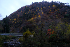 紅葉の山