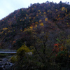 紅葉の山