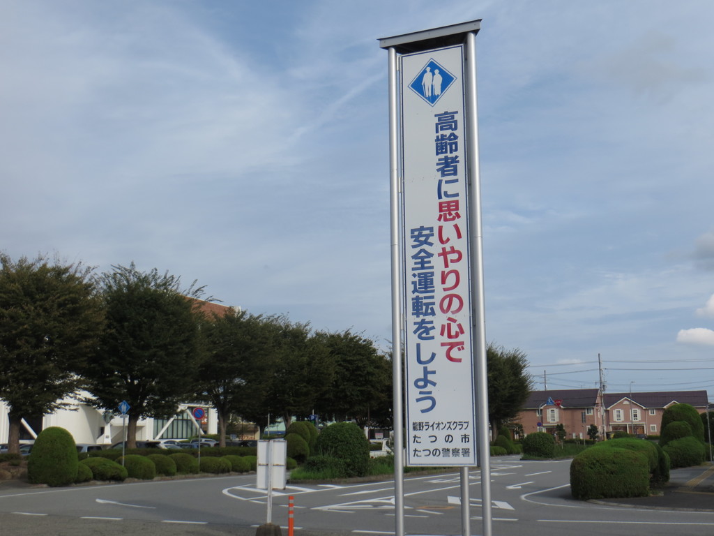 シルバーゾーン