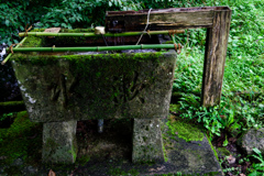 神社にて1