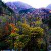 紅葉の山