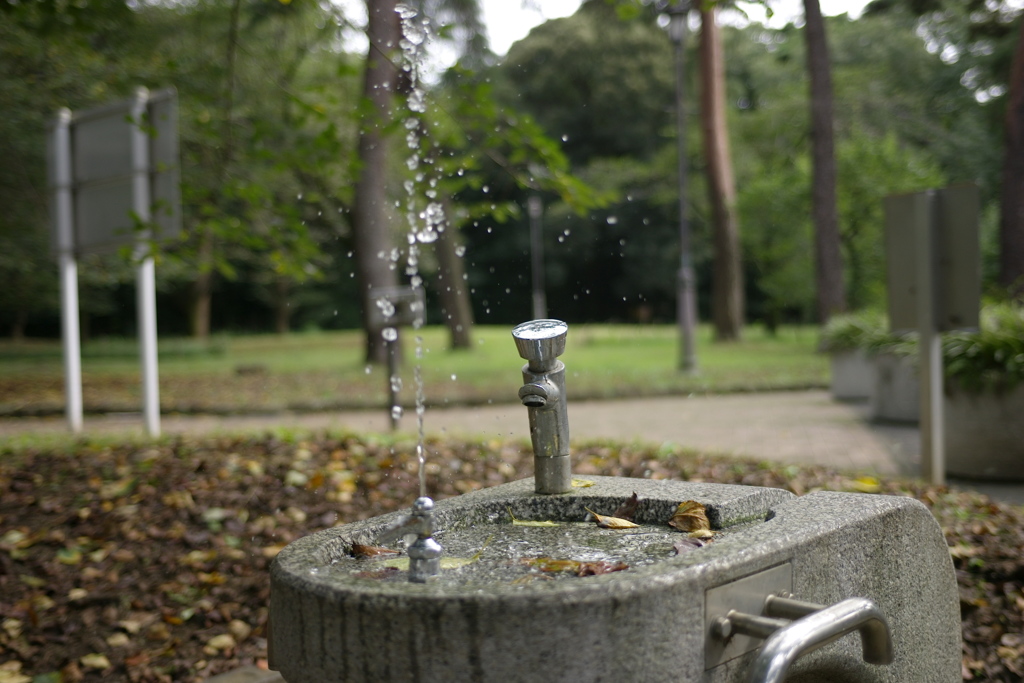 水飲み場