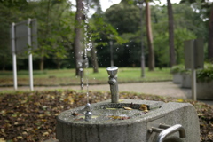 水飲み場