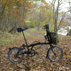 落ち葉と自転車。