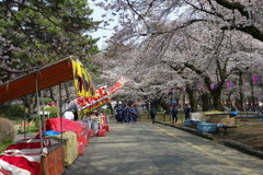お花見