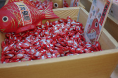 一年安鯛