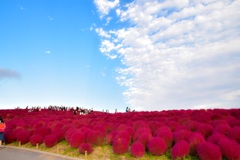 雲が来やがる。
