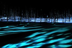 青い池ライトアップ（3）