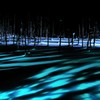 青い池ライトアップ（3）