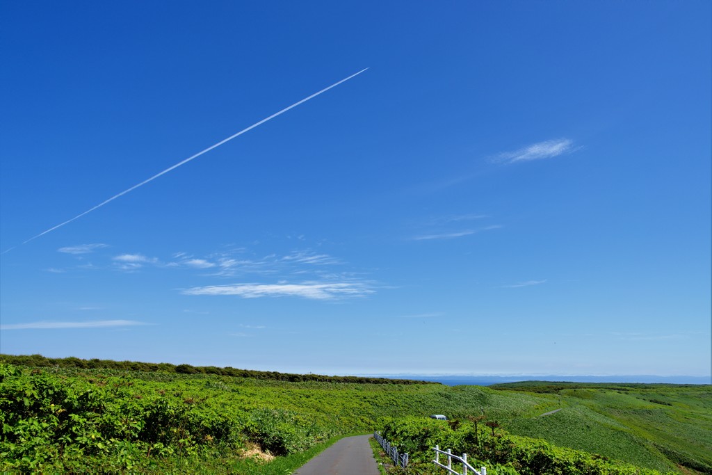 晴天の飛行機雲