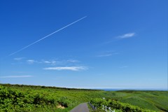 晴天の飛行機雲