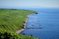 焼尻島の緑と海の青