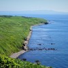 焼尻島の緑と海の青