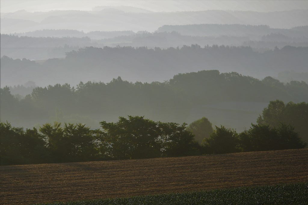 朝のグラデーション