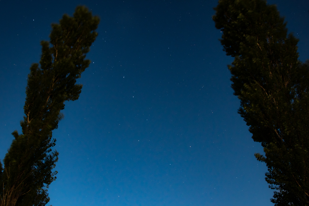 木間から夏の星座