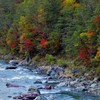 紅葉の鵡川源流