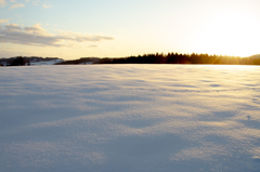 雪に包まれて