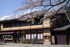 白川郷の春風