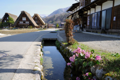 白川郷朝の散策