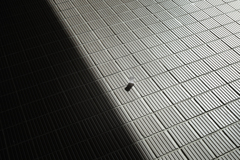 _SDI5572