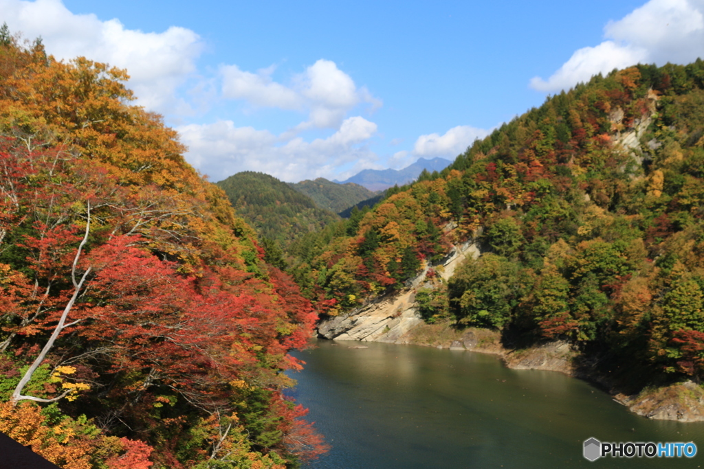 紅葉