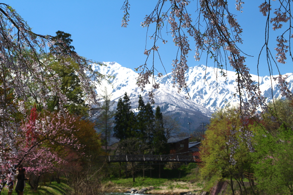 春景色