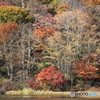 鏡池の紅葉