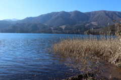 静かな湖畔