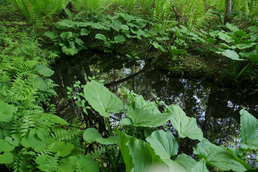 水の流れ