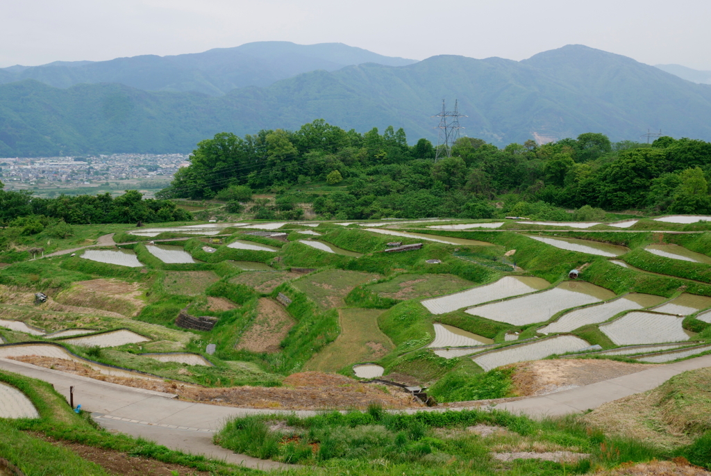 田植えの頃