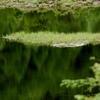 鏡池