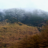 高峰高原
