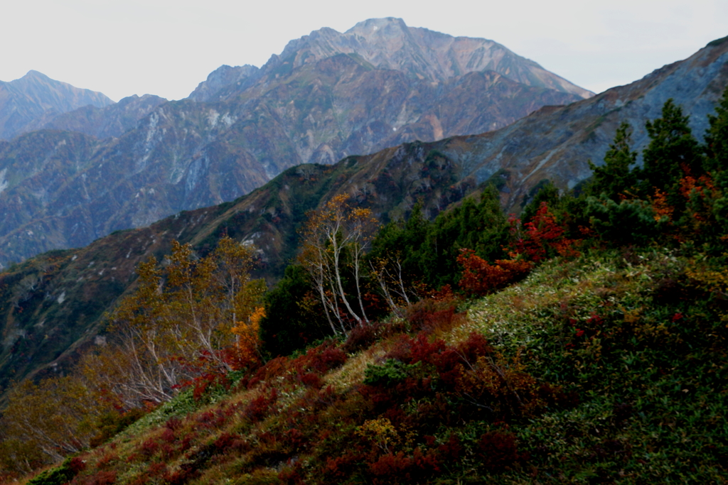 たぶん五竜岳