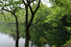 雲場池