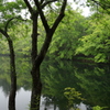 雲場池