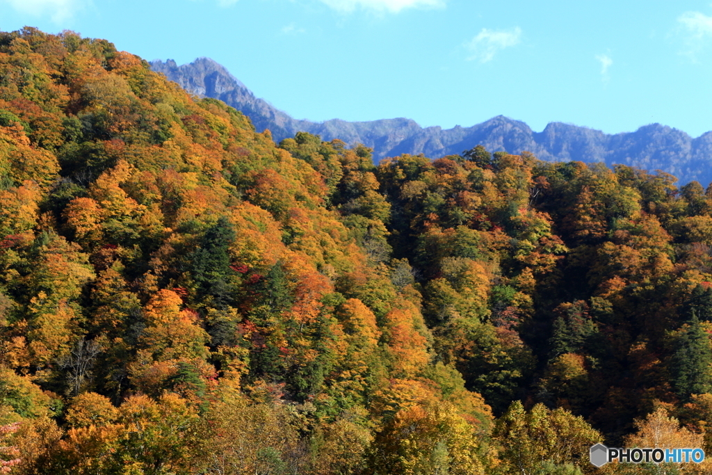 紅葉の山