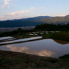 棚田