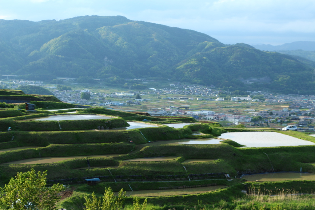 棚田