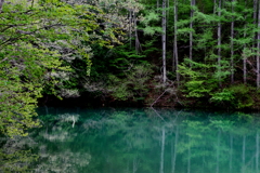 ダム湖