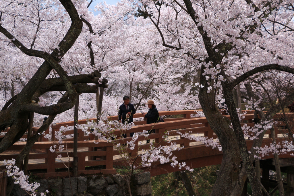 桜雲橋