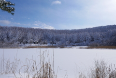 雪景色