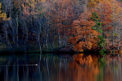 晩秋の池