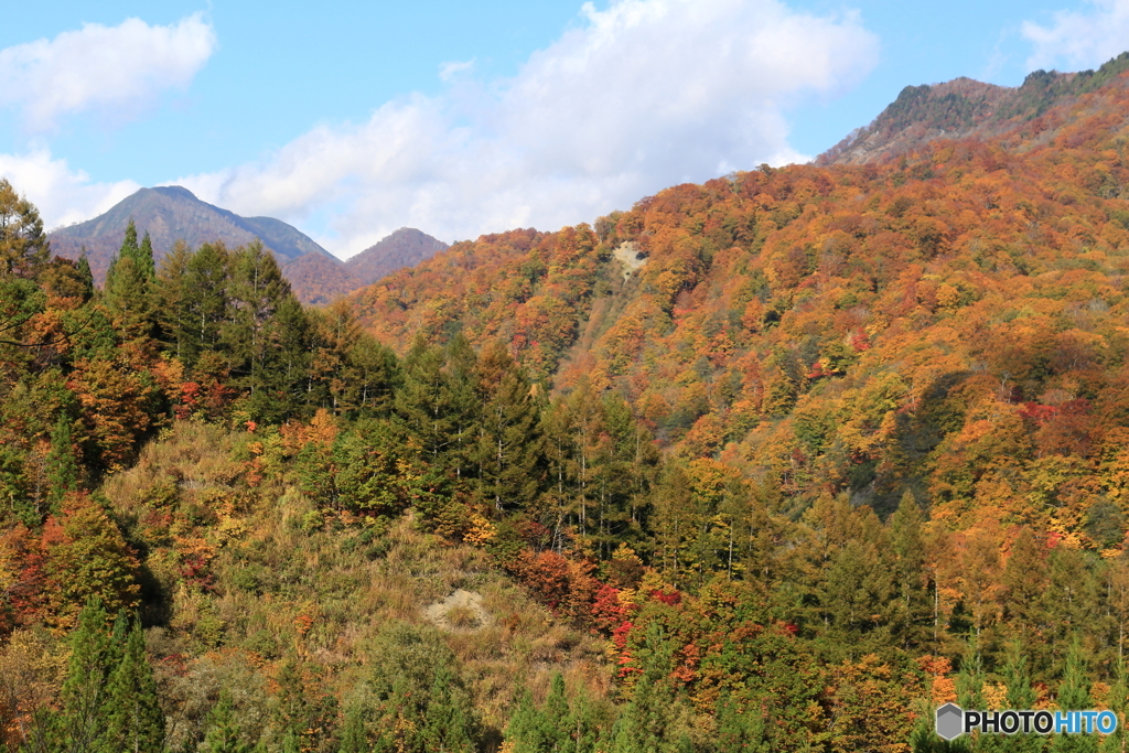 紅葉の山