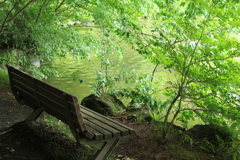 湖畔のベンチ