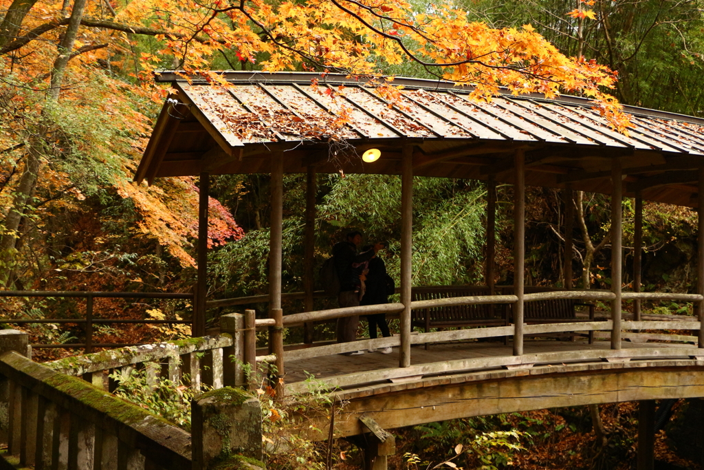 屋根付き橋の紅葉